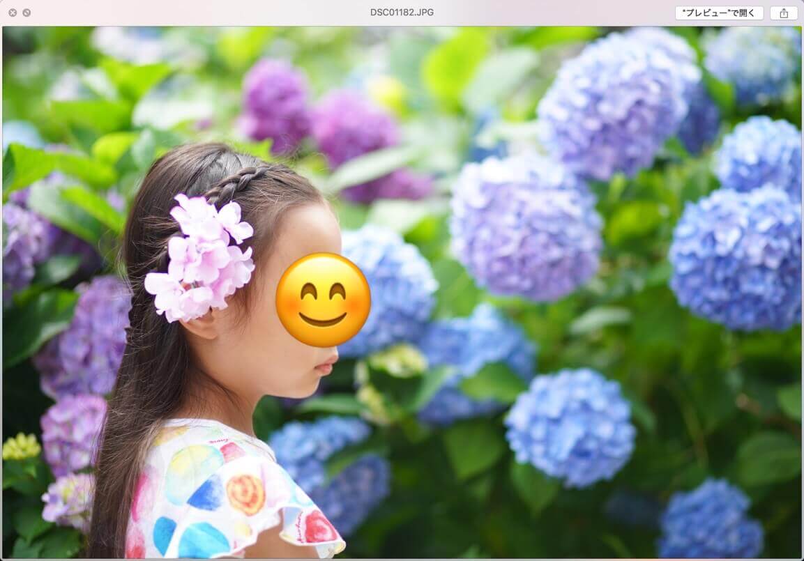 この写真データは、6月ということで娘とあじさいの写真です。