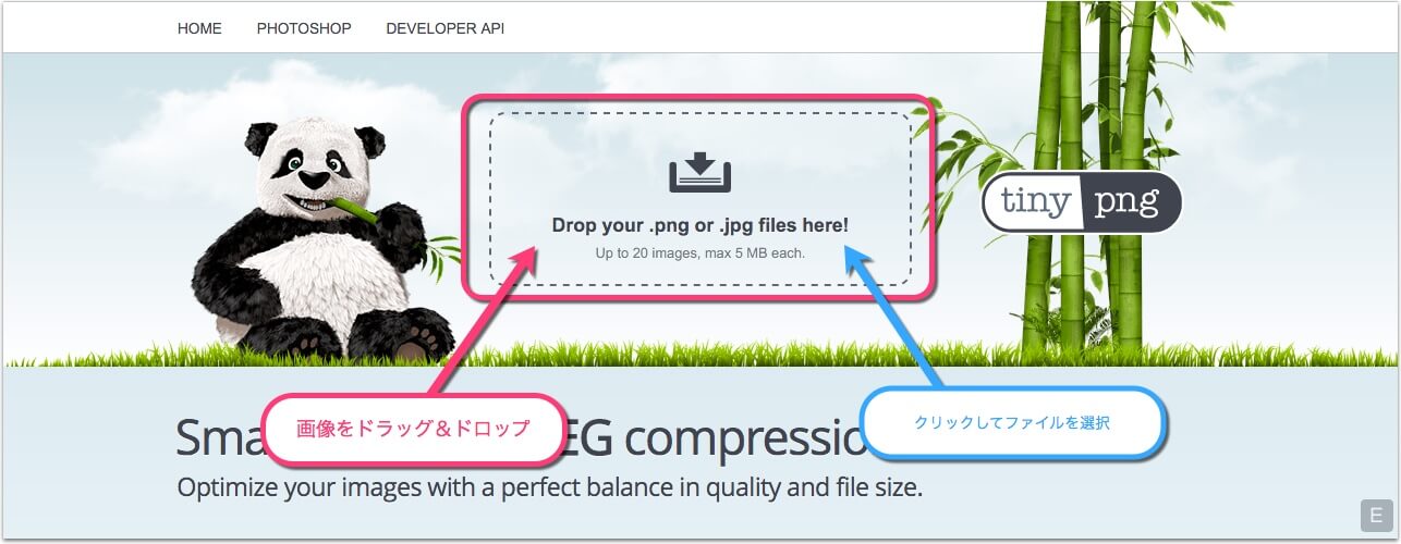 Png画像圧縮 Tinypng の使い方 画像をパンダで圧縮して軽量化する