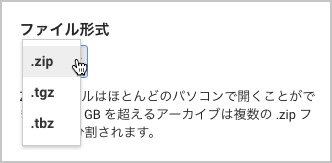 Google アーカイブ ファイル形式